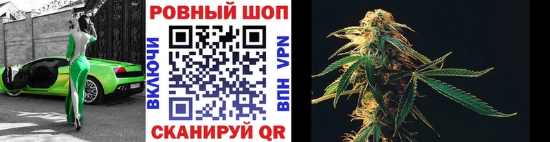 Купить наркоту Иваново Каннабис КОКАИН Галлюциногенные грибы МЕГА ТОР Амфетамин МЕФ
