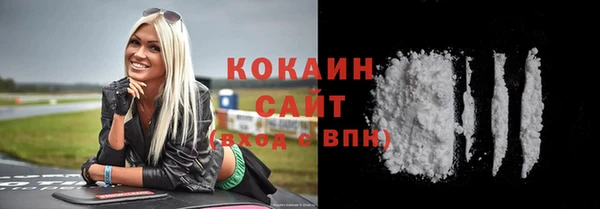дмт Абаза