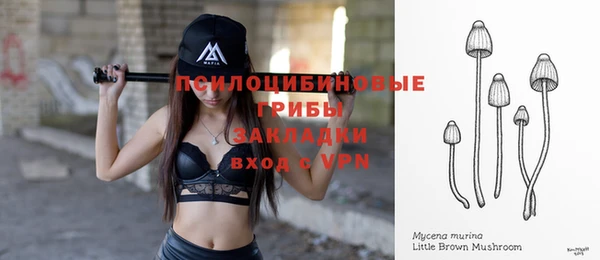 прущий лед Новозыбков