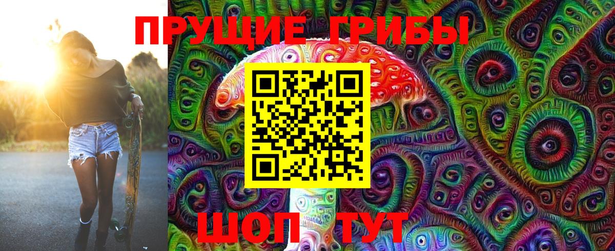 Галлюциногенные грибы Psilocybine cubensis Иваново