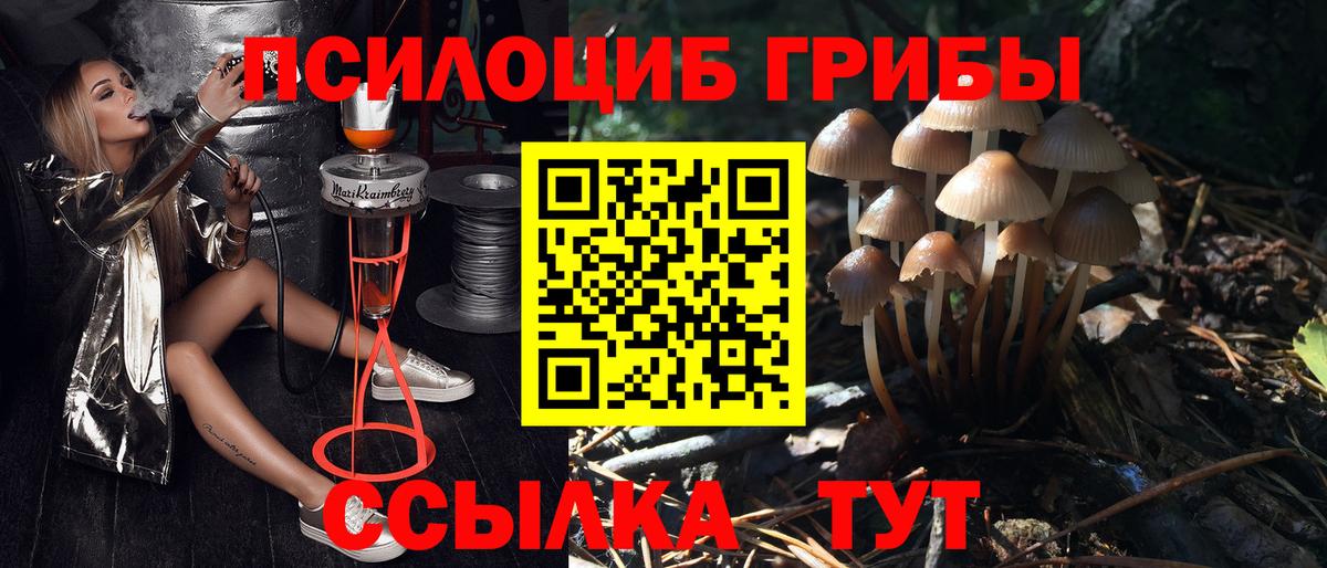 Иваново  Галлюциногенные грибы GOLDEN TEACHER  Вход с VPN 